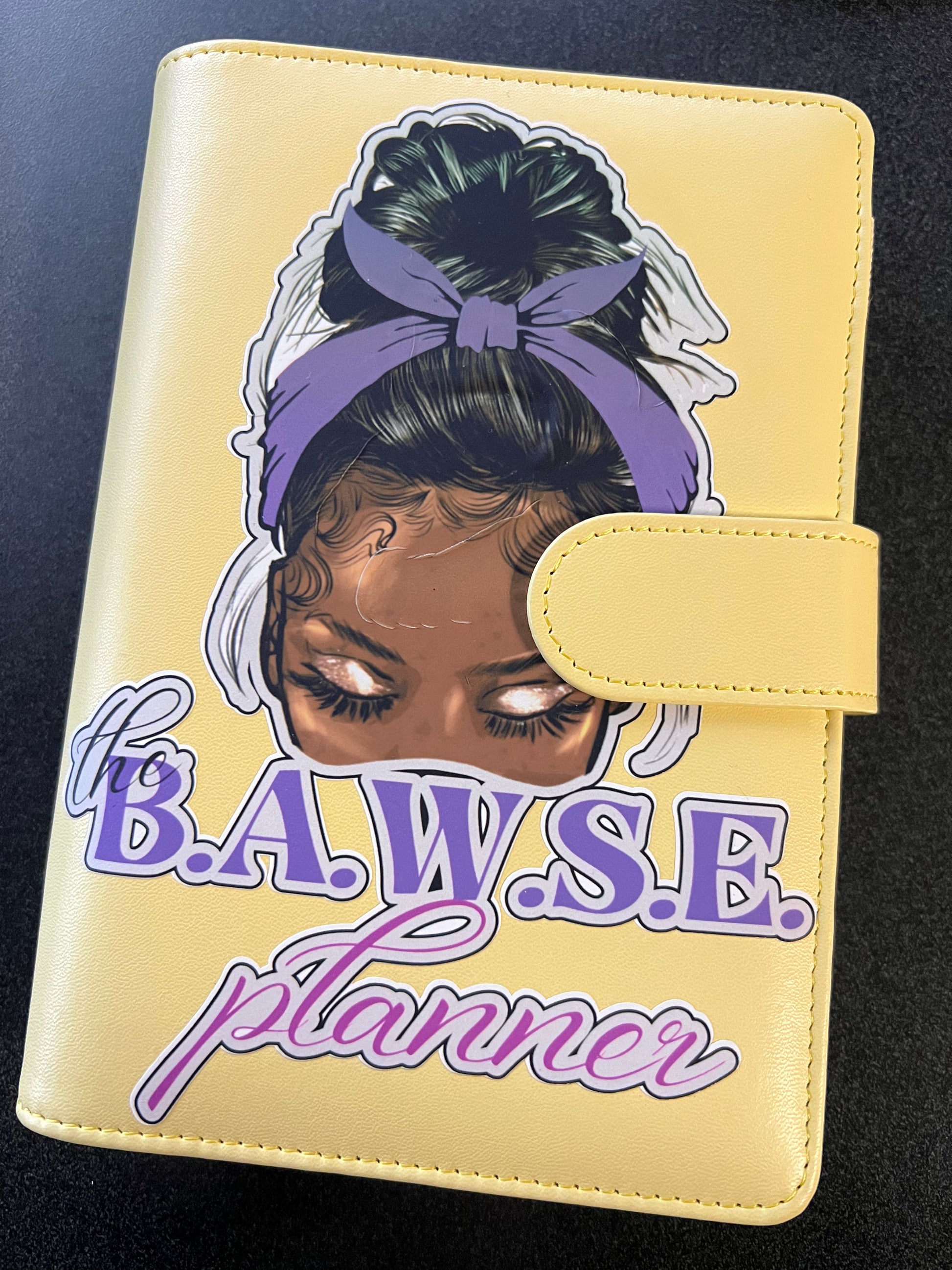 BAWSE Budget & savings Binder - Customizing the Chaos 