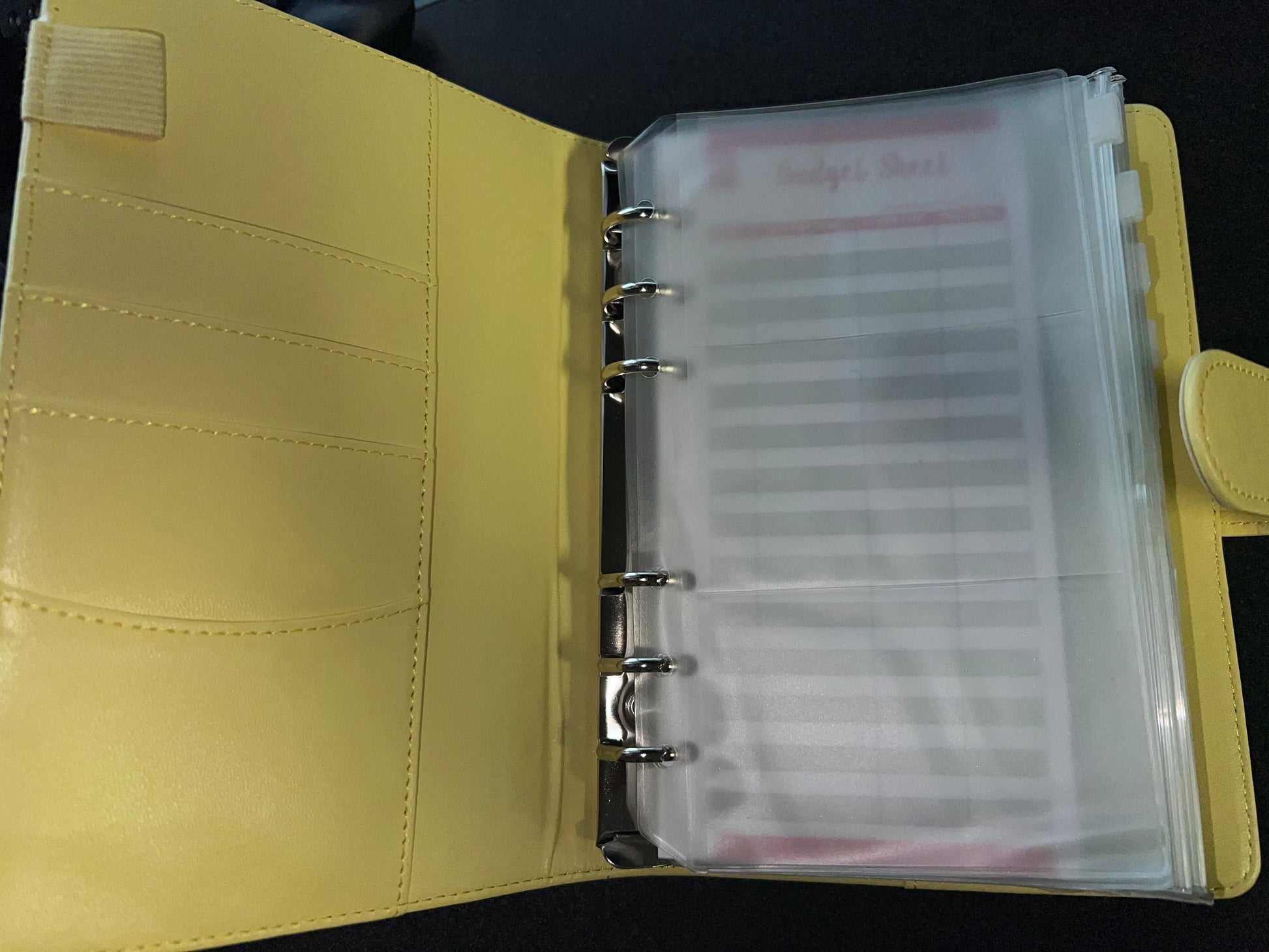 BAWSE Budget & savings Binder - Customizing the Chaos 